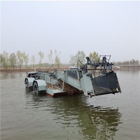 芦苇收割打捞一体船