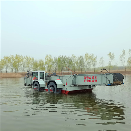 水花生打捞船