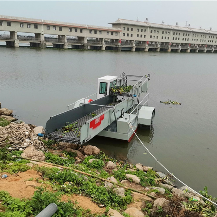 阳江水葫芦打捞船